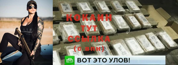 крисы Вязьма