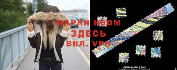 крисы Вязьма