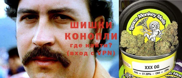 крисы Вязьма