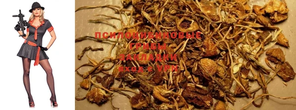 наркотики Вязники