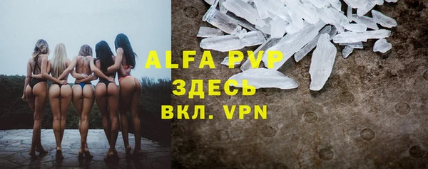 крисы Вязьма