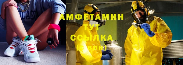 крисы Вязьма