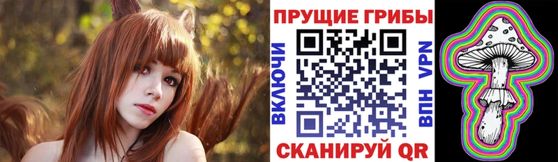 где найти   Калининград  Галлюциногенные грибы GOLDEN TEACHER 